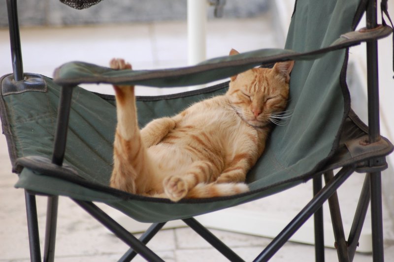 Лежак для кота