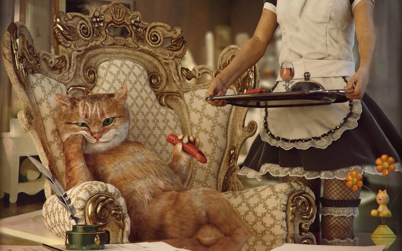 Вальяжная кошка