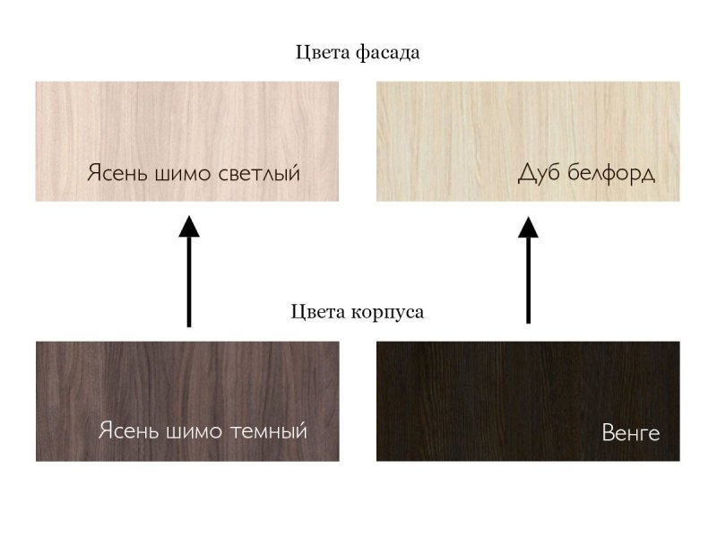 Дуб белфорд и дуб молочный отличия