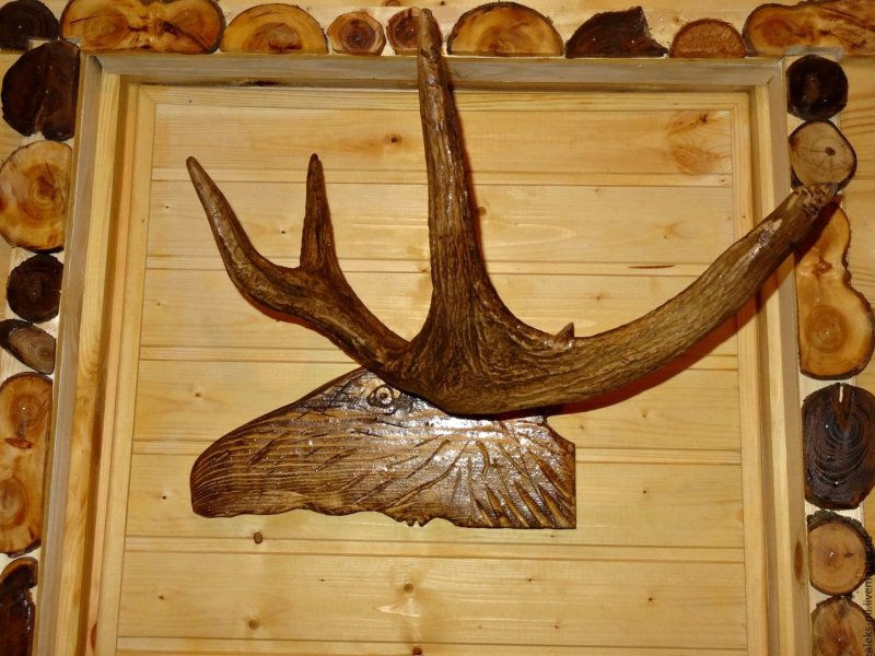 Череп лося с рогами