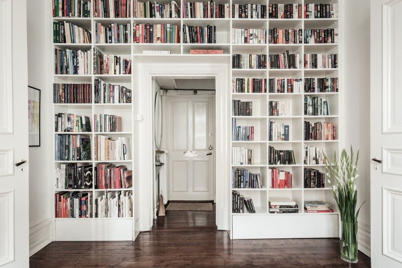 Книжный стеллаж вокруг двери