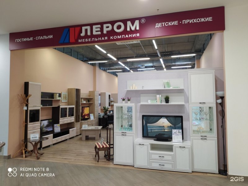 Гостиная Карина Лером снежный ясень