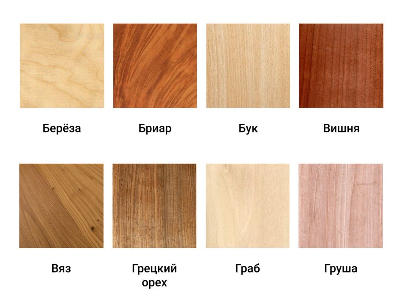 Цвет древесины разных пород
