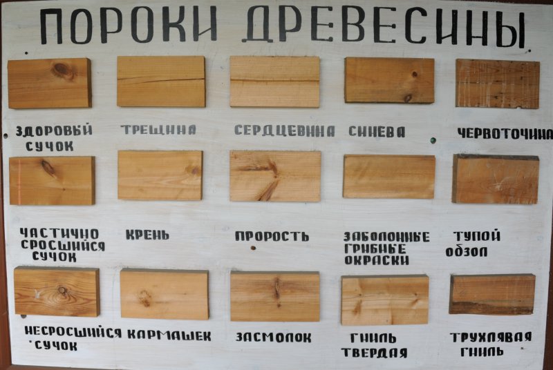 Морилка для дерева коричневого цвета