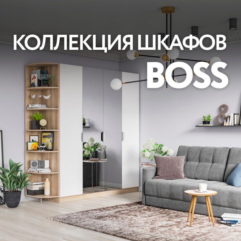 Диван босс шкафы купе