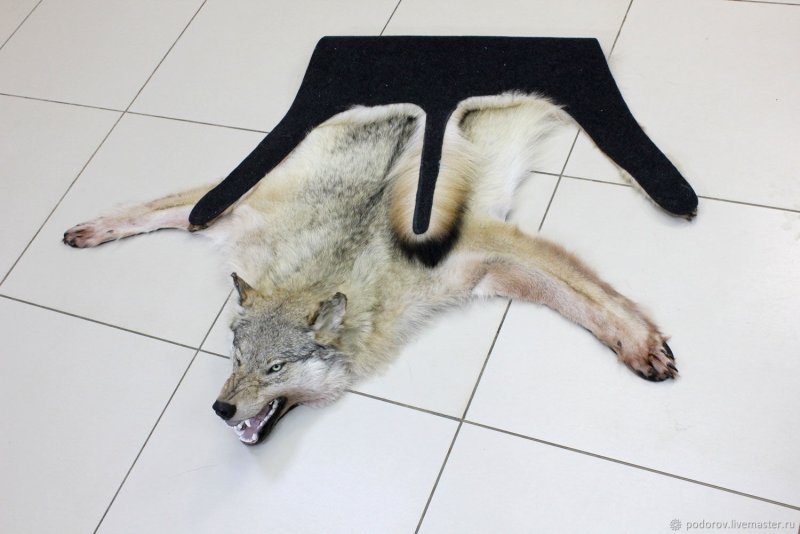Костюм из шкуры волка