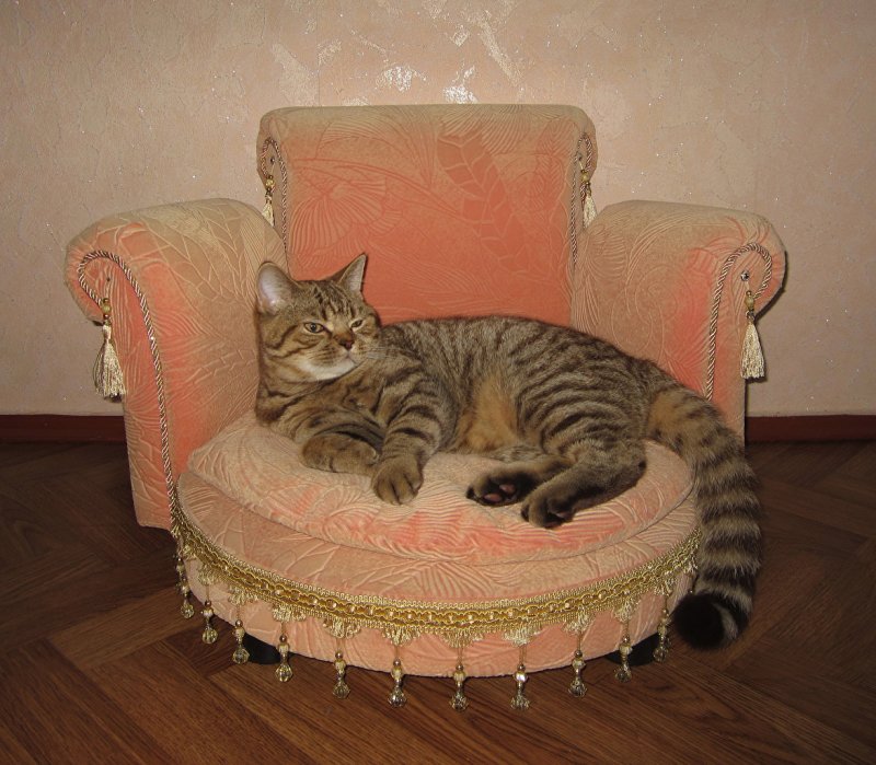 Кресло для кошки