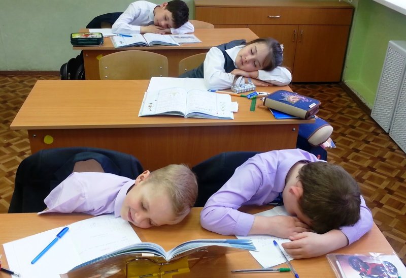 Ученик спит на уроке
