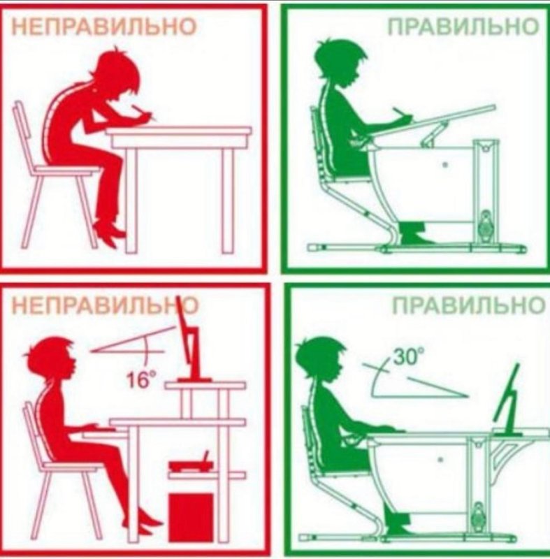 Осанка инфографика