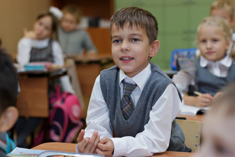 Портрет школьника