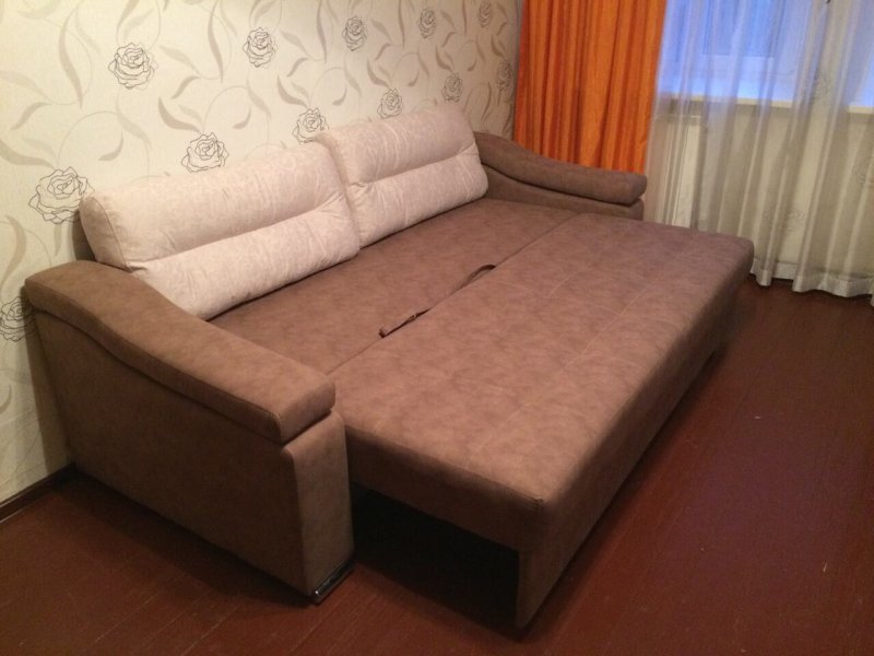 Кедр Кострома