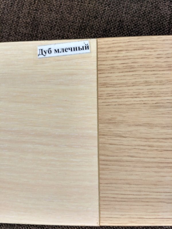 Дуб Млечный u1095