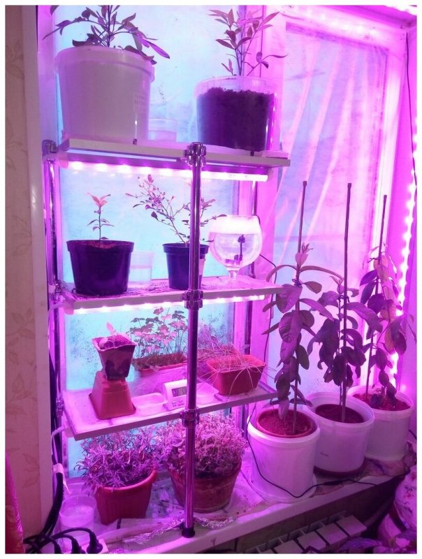 Биколорная фитолампа линейная grow Panel