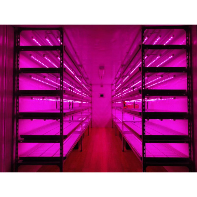 Фитолампа 10w va-1 Full Spectrum