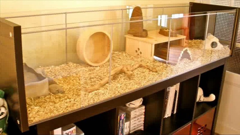 Клетка для хомяка ikea detolf