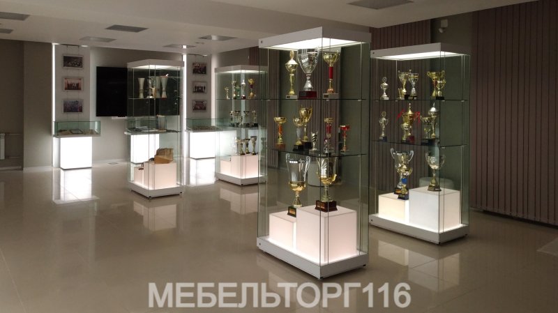 Витрины стеклянные для музея