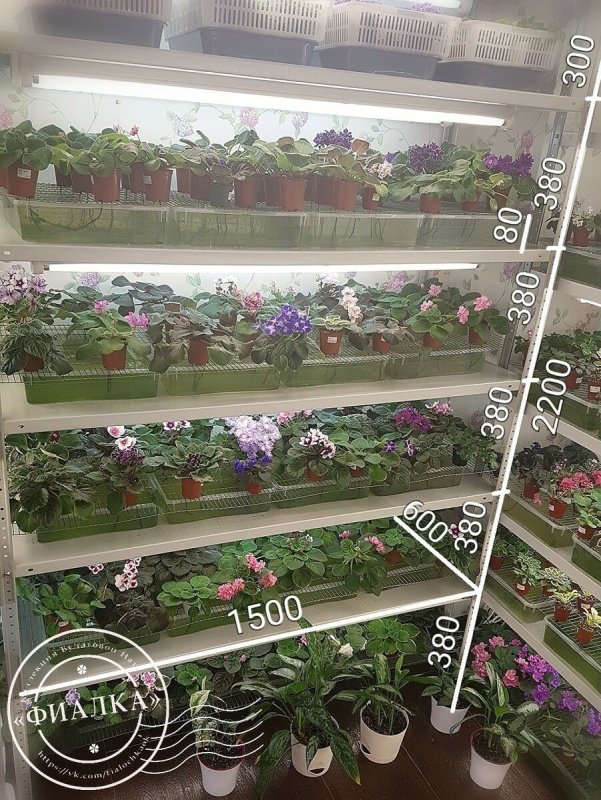 Стеллаж под фиалки с подсветкой