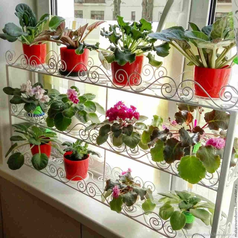 Стеллаж для цветов с подсветкой