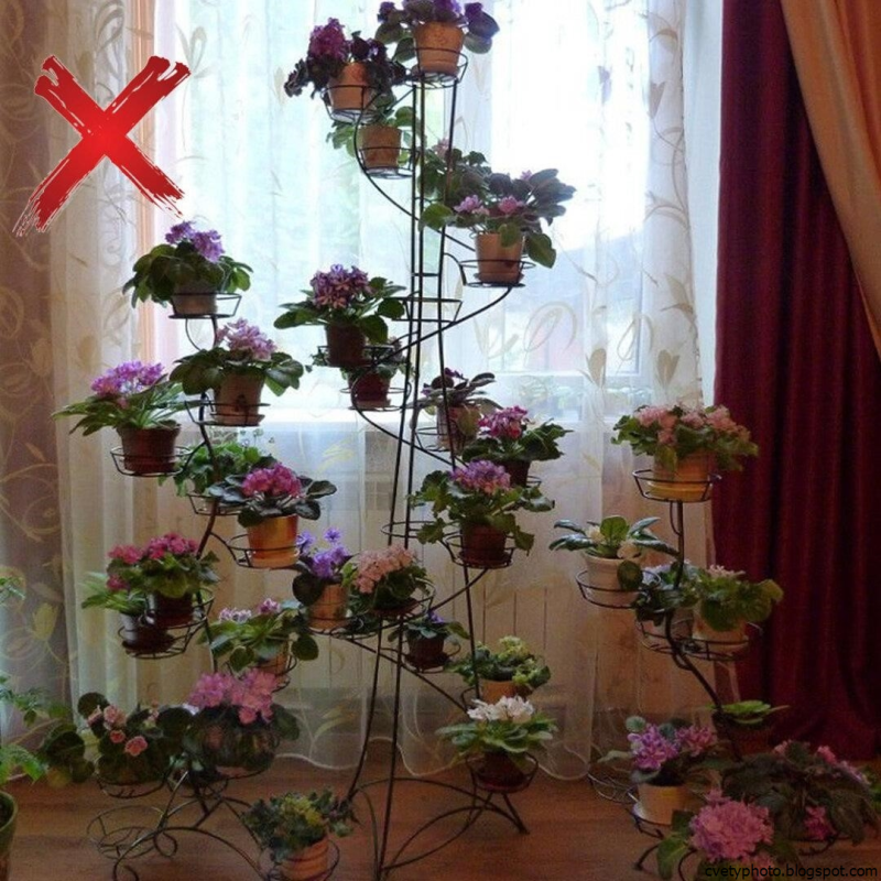 Полочки для фиалок