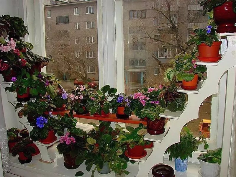 Петромаш стеллаж для рассады