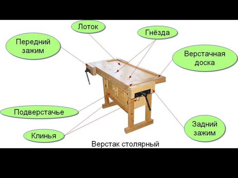 Чертёж столярного верстака 5 класс