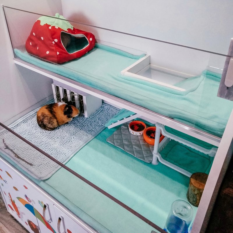 Клетка - витрина для морской свинки 90х40х30 см
