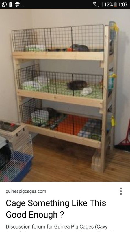 Двухэтажная клетка для морской свинки