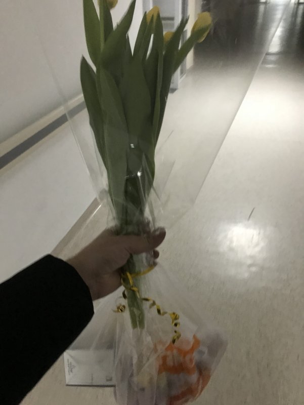 Цветы в больнице в палате