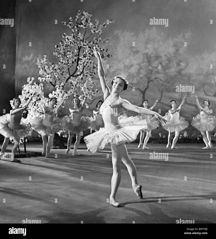 Максимова Екатерина Сергеевна