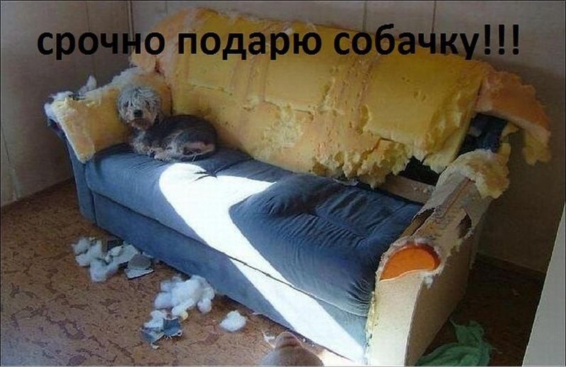 Старый диван сломанный