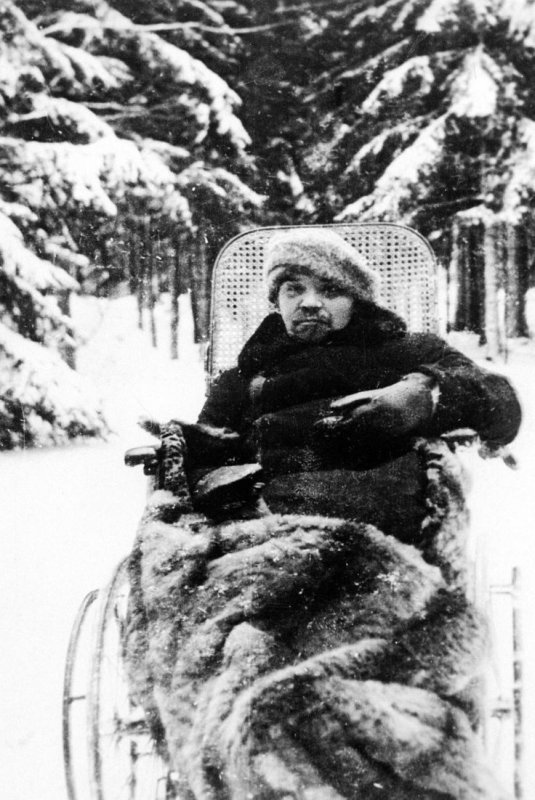 Волосатый Ленин