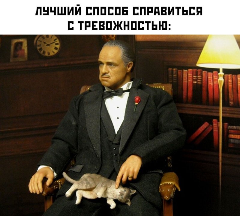 Дон Корлеоне с котом