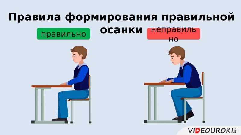 Сиди правильно плакат для начальной школы