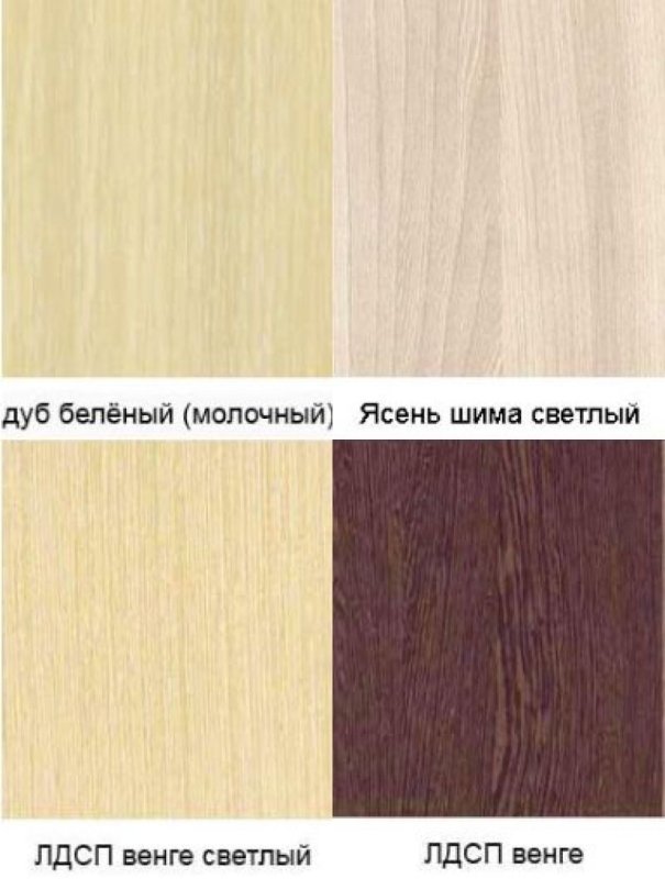 Гостиная Карина ясень Асахи
