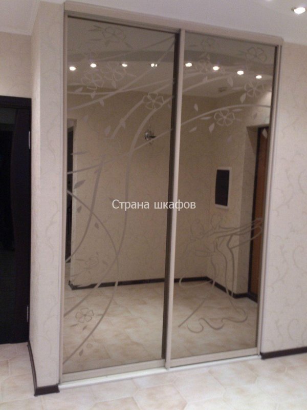 Гардеробные двери купе зеркальные