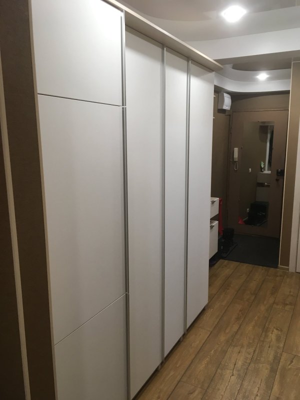 Холодильник в шкафу купе в прихожей