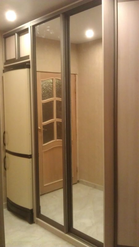 Холодильник в шкафу купе в прихожей