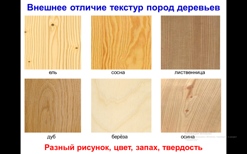 Цвет лоредо и ясень шимо светлый